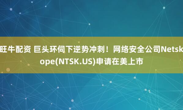 旺牛配资 巨头环伺下逆势冲刺！网络安全公司Netskope(NTSK.US)申请在美上市